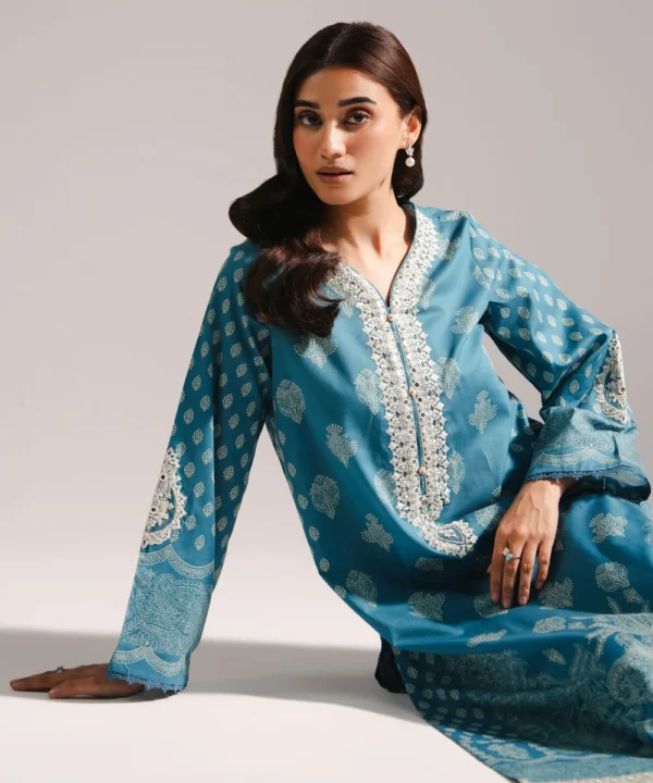 2 piece embroidered cotton suit