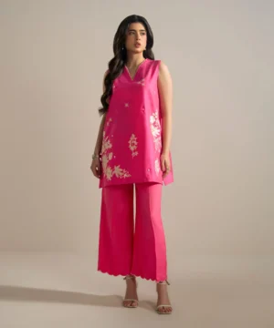 2 piece embroidered cotton net suit