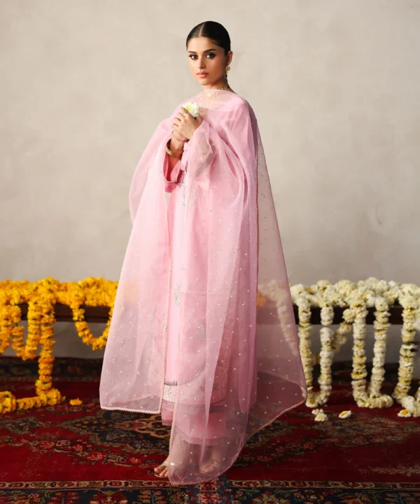 2 piece embroidered zari lawn suit (copy)