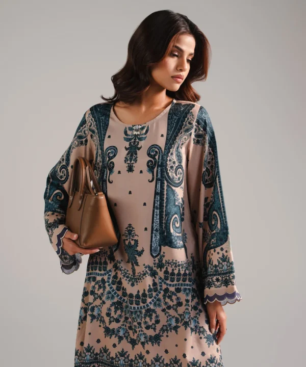 2 piece embroidered cotton net suit (copy)