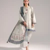 3 piece printed leno kara suit